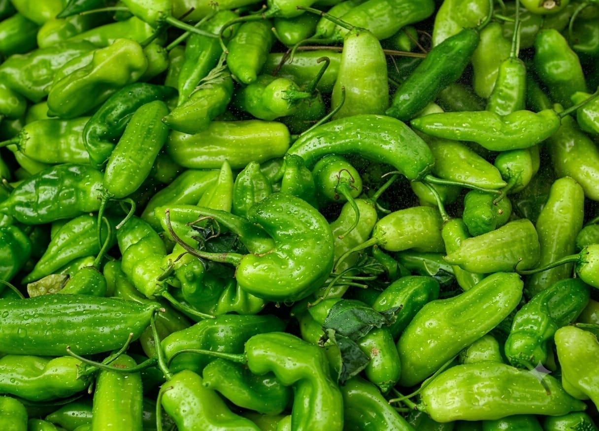 Green Bhut Jolokia (Ghost Pepper)