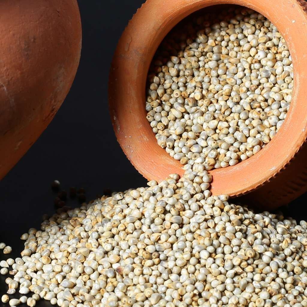 Pearl Millets (Bajra)