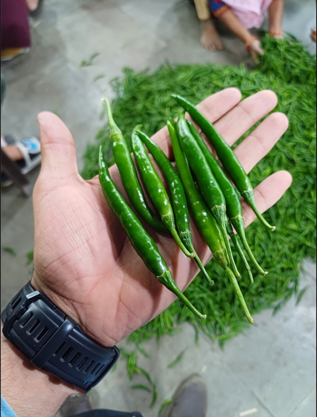 G4 Green Chilli