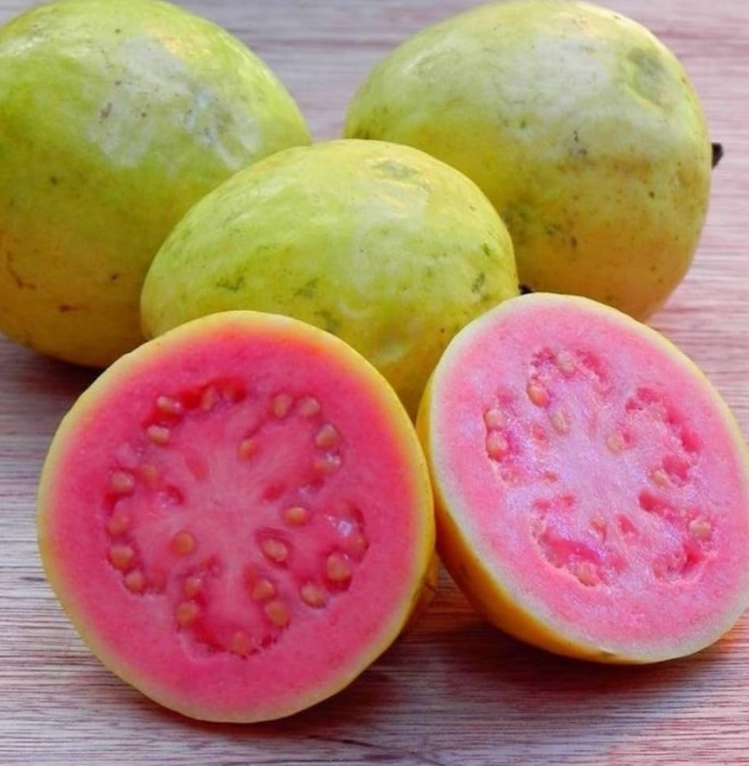 Guava