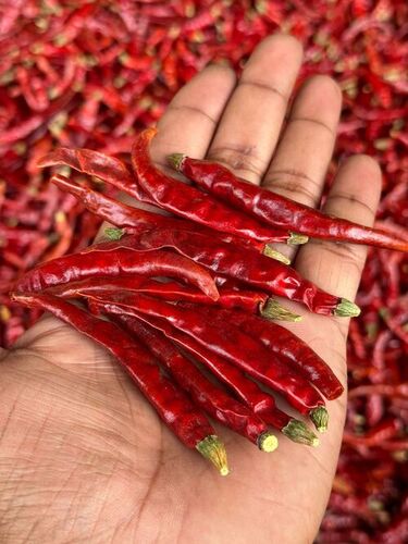 Teja S17 Red Dried Chilli