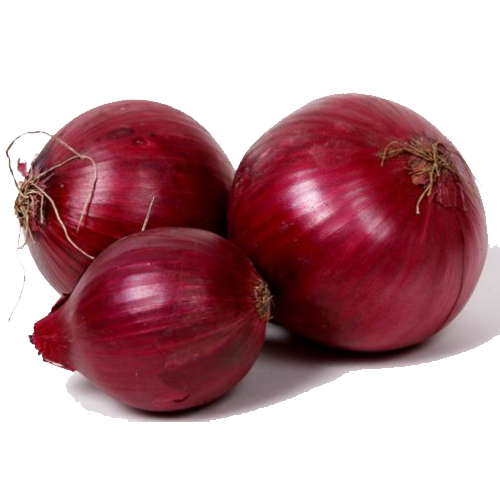 Onion 55mm+